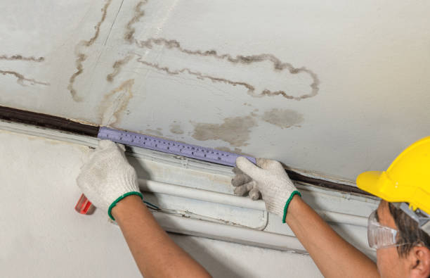Reliable Burst Pipe Cleanup contractor in Pepin, WI by Water Damage Irwin
